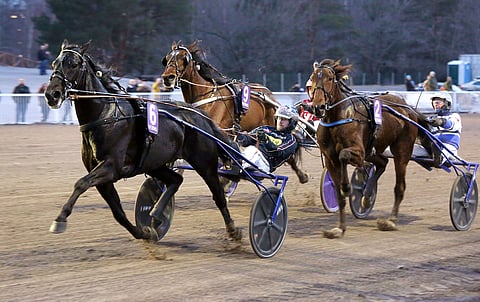 Run For Royalty ravasi keulasta Helsinki-ajon voittoon.