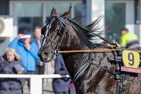 Consalvo sai mainiot lähtöasemat Suur-Hollola-ajon finaaliin.