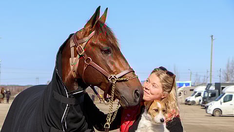 Bengurion Jet, Maiju Petriläinen ja Lili-koira saapuivat Seinäjoelle.