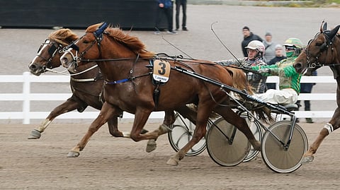 6-vuotais Tulipiirto saattaa tuoda Jukka Torviselle hänen 1000. voittonsa.