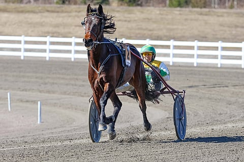 He's A Keeper hakee Toto75-voittoa Killeriltä.