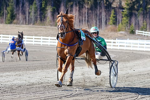 Caijus lähtee hakemaan hyvää sijoitusta Nordic Kingissä.