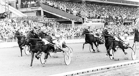Leander Blue Chip ja Heikki Korpi kirivät selvään voittoon vuoden 1983 Sweden Cupissa. Dimma (8) on toinen ennen sisäradan Nevele Feveria ja ulommaisena kirivää Mastodontia.