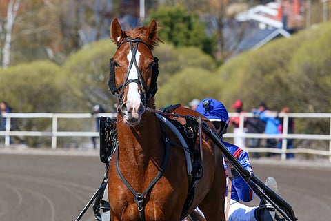 Karelin Avenger on lupaava aloittelija.