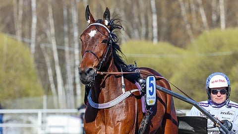 Global Withdrawl kuuluu Matias Salon tallin valttikortteihin.