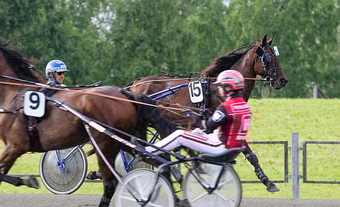 Kirjoittaja toivoo, että ravihevosten mahdollisuuksia päästä uudelle uralle lisätään.