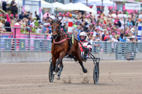 Hierro Boko lähtee matkaan radalta viisi.