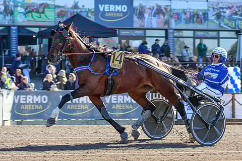 Gogobet Sisun edellinen startti on keväältä, kun ori sijoittui Jorma Kontion ohjastamana yhdenneksitoista.