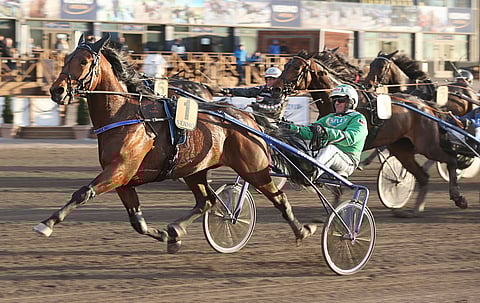 EL Kazaam ravasi keväällä 2023 Uudenmaan Upeimmaksi.