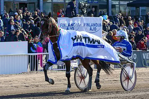 Mandela Zon ansaitsi paikan Solvallan hopeadivisioonafinaaliin Vermossa ravatusta karsinnasta, jonka se voitti tuloksella 12,4ake.