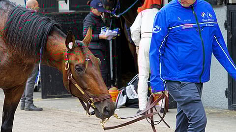 Etonnant lähtee täysissä sielun ja ruumiin voimissa Solvallaan. Ja sen jälkeen ehkä Kouvolaan.