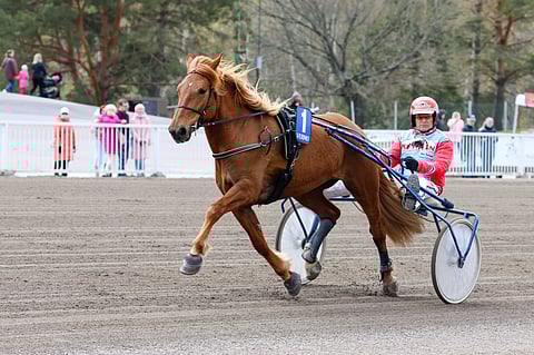 Gimma avaa kilpailukautensa Vermossa.