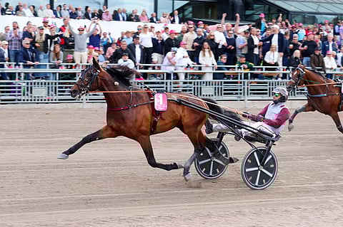Hohneck kiitää Elitloppet-voittoon.