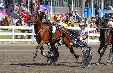 Silent Starlight on kakkossuosikkina kelpo varma.