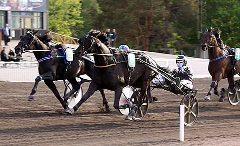 Everlasting Boogie piti voittokamppailussa Crepe Matchin ulkopuolellaan.