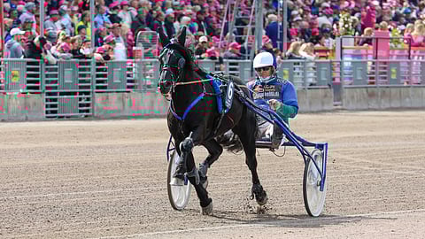 Nyland on osallistunut Elitkampeniin kolme kertaa. Tänä vuonna reissu Solvallaan näyttää jäävän väliin.