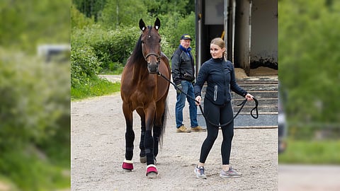 Pasi Korkala Ataitaa autot ja hevoset.