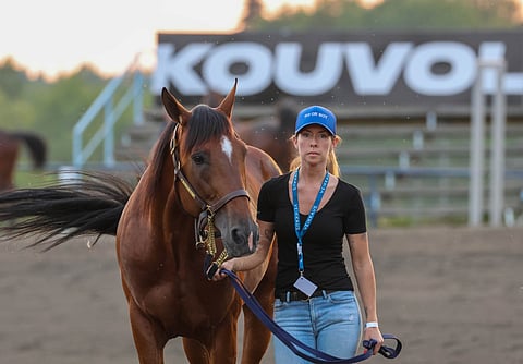 Go On Boy nähtiin viime vuonna myös Kouvolassa, jossa se oli kakkonen.
