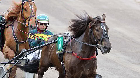 Vain kerran hävinnyt Ari Potter on Ruunaruhtinaan mielenkiintoisimpia osanottajia.