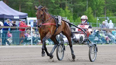 Hierro Boko hakee jo tähän mennessä upeasti menneelle kaudelleen jackpottia St Michelistä.