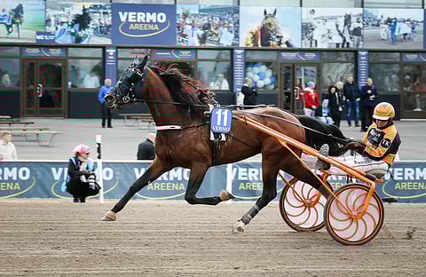 Tommi Kylliäisen valmentama Furioso Wohlrab osallistuu ensimmäistä kertaa Suur-Hollola-ajoon. Valmentaja näkee kaiken onnistuessa jopa sijoituksen neljän parhaan joukossa mahdollisena.