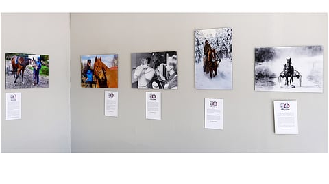 Arkea ja juhlaa hevosten kanssa.