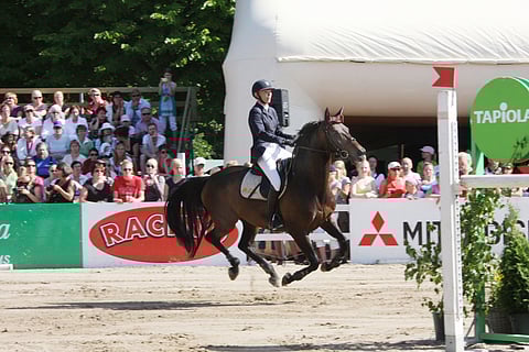 Hangossa aurinko paistaa ja hiekka on kuumaa, mutta vanhat lehmukset reunustavat kenttää. Jenny Heinekamp ja Vlas.