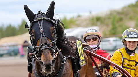 Villeroy ja Elina Pakkanen lähtivät Ruotsiin.