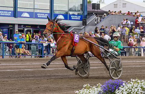 I.M.T.-Talli Oy:n omistama Willow Pride on tienannut urallaan jo liki 590 000 euroa. Tamma on voittanut urallaan Tammavaltikan kolmesti ja joka kerralla rattailla on istunut eri ohjastaja. Kuvassa Willow Pridea ohjastava Ari Moilanen ajoi tamman voittajaksi vuonna 2020.