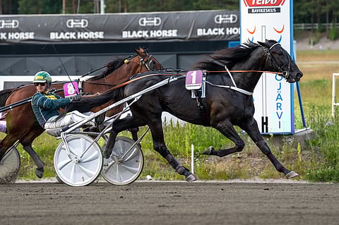 Christa Packalénin valmentama Thai Greenwich palasi viiden kuukauden tauolta voittoisasti ajalla 13,9ake.