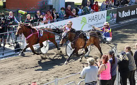 Hevoset Bastgionissa Cityravit finaali Target Kronos – Sanderson