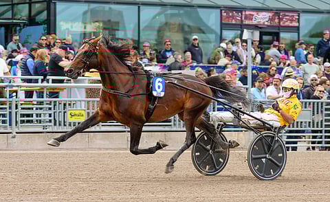Bengurion Jet Solvallassa.