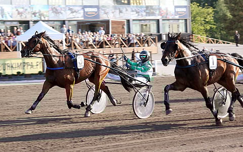 Brolle F. hakee lauantaina Vermossa jo kauden seitsemättä ykkössijaa.