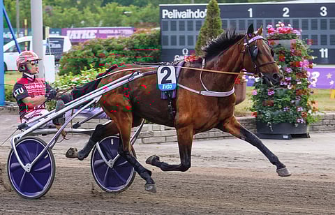 Ravihevonen Felix Orlando uuteen osoitteeseen hetkeksi.