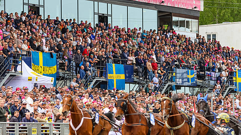 Hevosurheilu järjestää lukijamatkan Elitloppetiin juhlavuotensa kunniaksi.