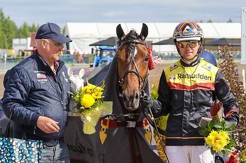 Jan-Olov Persson, Stjärnblomster ja Mats E Djuse.