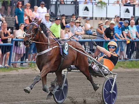 Loveyou Hangover menestyi kesällä useampaan otteeseen Toto75-tasolla.
