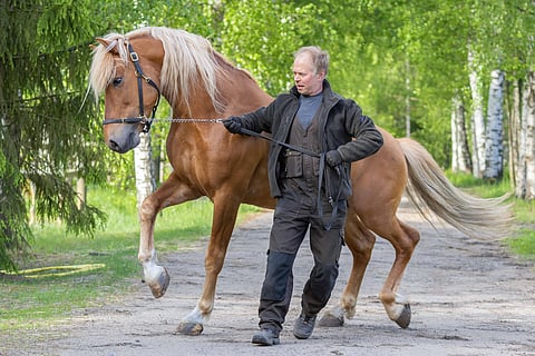 Juha Lindroosin valmentama Vonkari on yksi kolmesta tukipilarista.