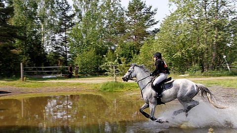 Aada Puranen ja Dioradus G.