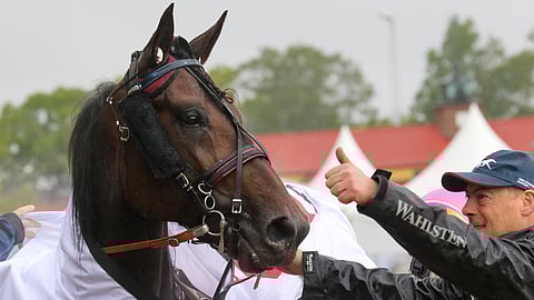 Charliebrown Effe voitti pikkuyllättäjänä hopeadivisioonan.