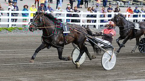Harjujen Roomeo starttaa Kajaanin jälkeen Mikkelissä lauantaina.