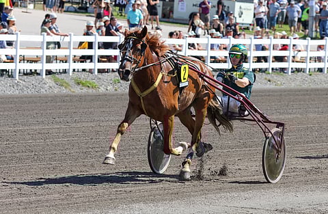 Markku Kinnusen valmentama 3-vuotias Neiti Sävel starttaa suosikkina tammojen Varsakunkun karsintaan.
