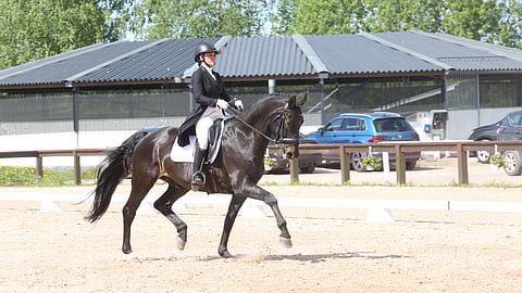 Elli Tuomisen ja Woodcroft Rockstarin kannatti lähteä ajamaan Kangasalle, vaikka aamulla kotona pelkkä ajatus kisamatkasta nosti tuskankyyneleet ratsastajan silmiin.