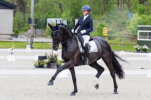 Mikaela Soratiellä on myös nuorempi lupaus Legend Dynamite.