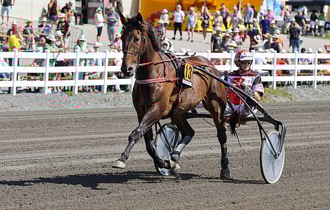 Grainfield Aidenin vire näytti viime starttien perusteella olevan nousussa.