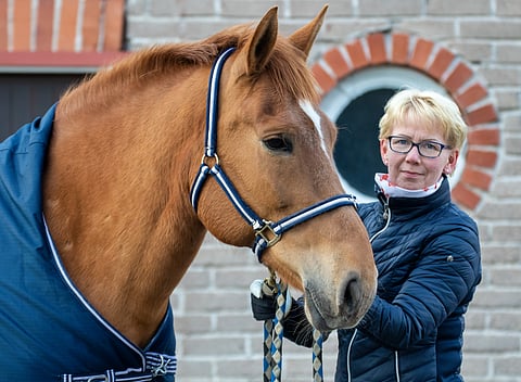 Helena Halinen näkee hevosalassa potentiaalia nykyistä enempäänkin.