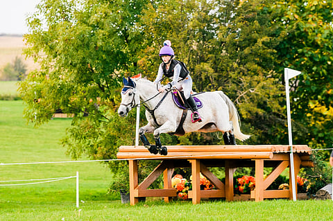 Ewan Stone ja Inkeri Laiho.