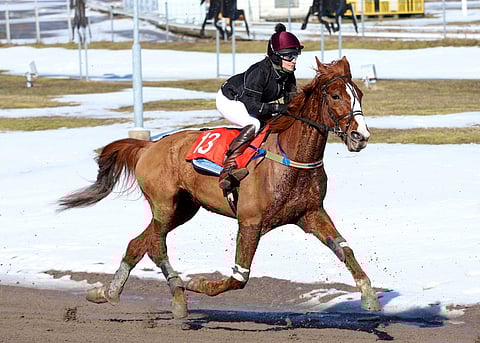 Eevamaija Ramírez ja Cold Player huhtikuussa Turussa. Ramírez kilpaili uransa toisessa montéstartissa ja otti ensimmäisen voittonsa.