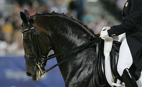 Turparemmejä tullaan tarkastamaan mittauslaitteella paitsi kouluratsastuksessa, myös muissakin lajeissa.