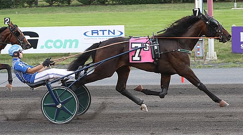 Robinhood ja Niko Kärnä tyylittelivät komeaan voittoon 20 000 dollarin Kindergarten-lähdössä. Kuva: